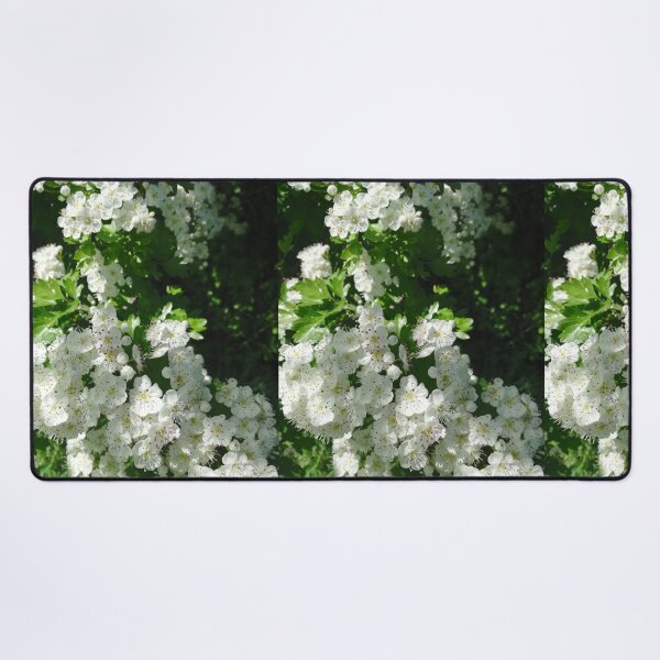 Item preview, White hawthorn blossom flowers designed and sold by esvb.