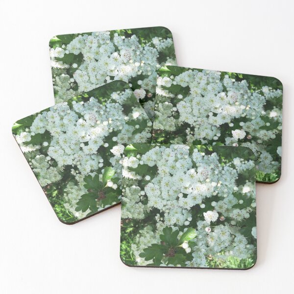 Item preview, White May Hawthorn blossom flowers designed and sold by esvb.