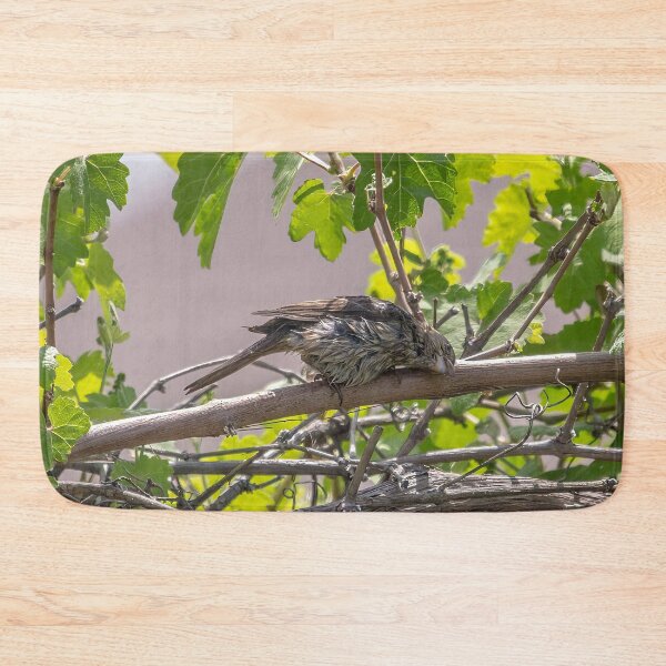 Item preview, Drying My Wet Feathers designed and sold by CarolM.