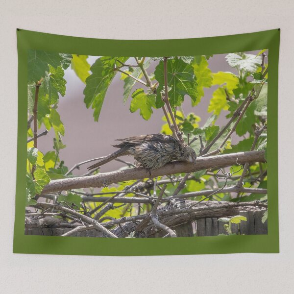 Item preview, Drying My Wet Feathers designed and sold by CarolM.