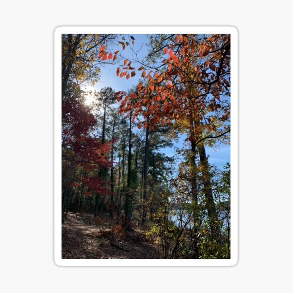 Item preview, Abundance of trees designed and sold by Quirkymuch.