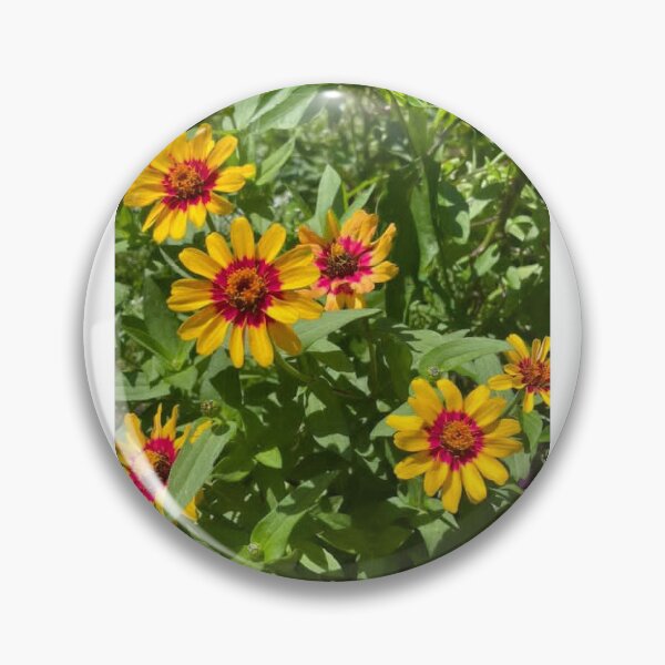 Item preview, Planted Suns designed and sold by Quirkymuch.