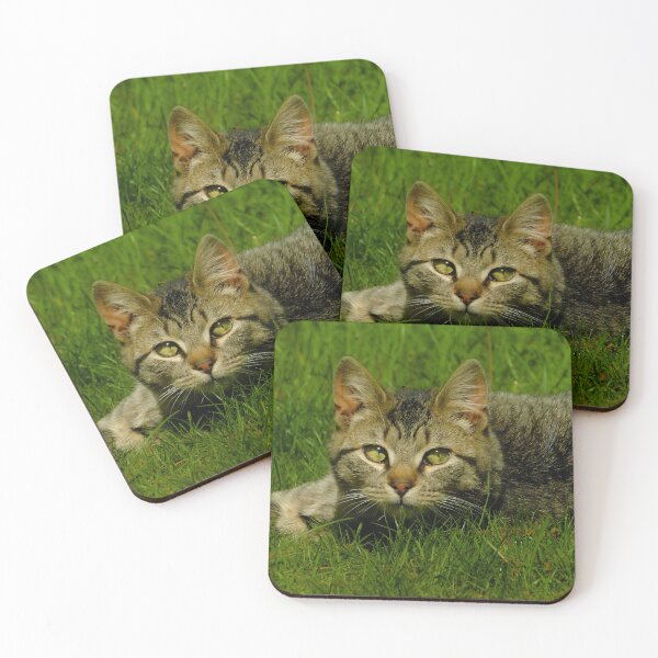 Item preview, We Call Her Kitten Little designed and sold by schostix.