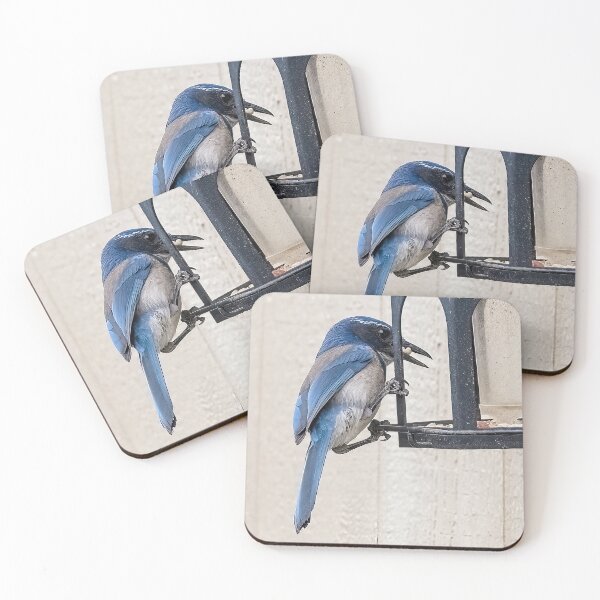 Item preview, Scrub Jay Grabbing a Morsel From the Feeder designed and sold by CarolM.