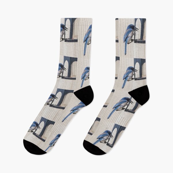 Item preview, Scrub Jay Grabbing a Morsel From the Feeder designed and sold by CarolM.