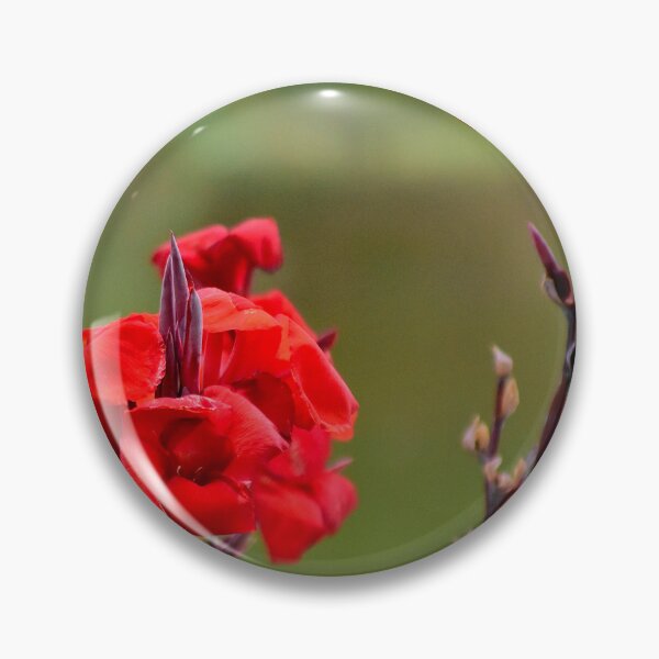 Item preview, Red Canna Blooms designed and sold by MercerImages.