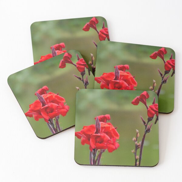 Item preview, Red Canna Blooms designed and sold by MercerImages.