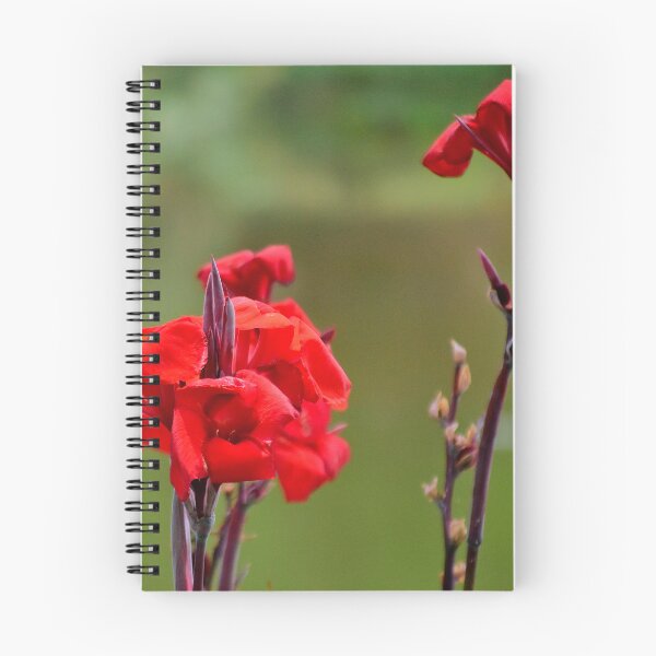 Item preview, Red Canna Blooms designed and sold by MercerImages.