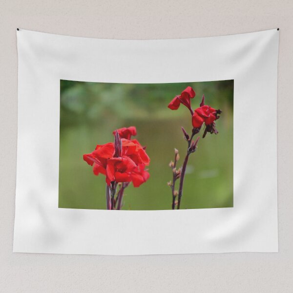 Item preview, Red Canna Blooms designed and sold by MercerImages.