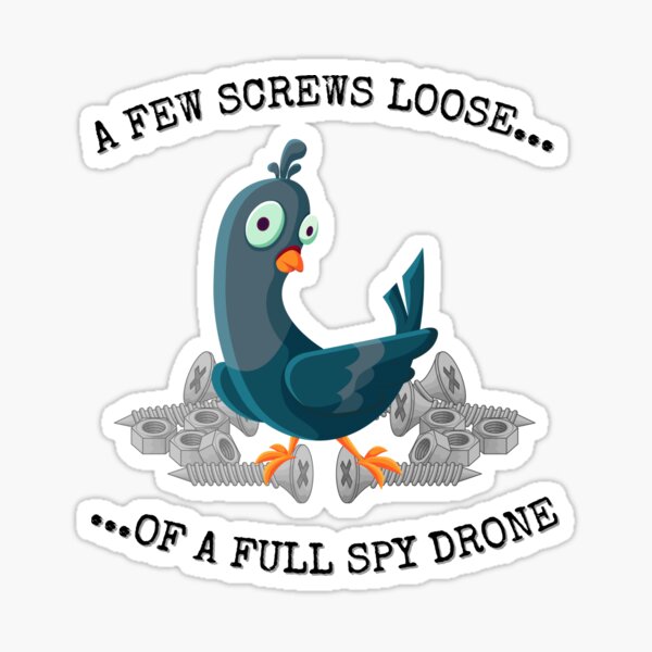A Few Screws Loose Of A Full Spy Drone