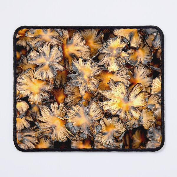 Item preview, Decaying Mushroom Patch designed and sold by bjtomiko.