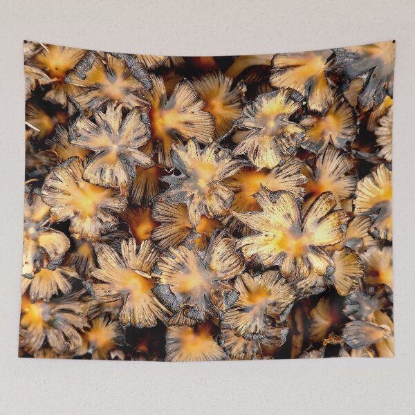 Item preview, Decaying Mushroom Patch designed and sold by bjtomiko.