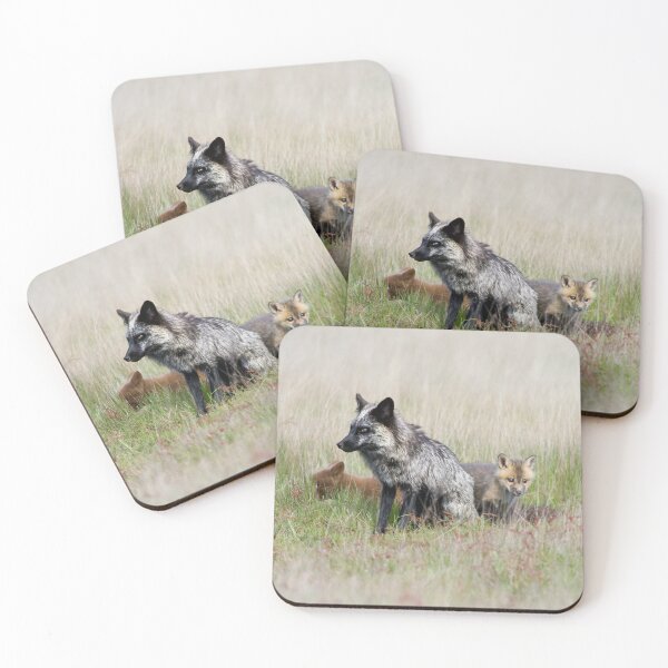Item preview, Fox family  designed and sold by Vixenphoto.