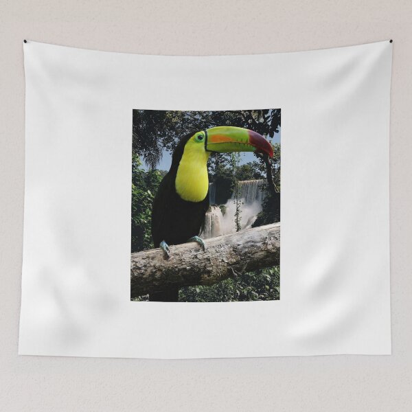 Item preview, Toucan designed and sold by edleon.