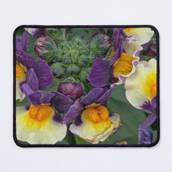 Item preview, Nemesia designed and sold by Betsy Phillips.