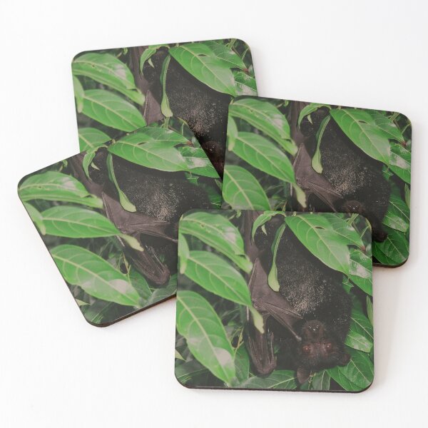 Item preview, Fruit Bat  designed and sold by Kymbo.