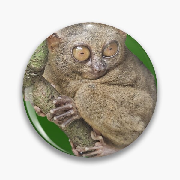 Item preview, Philippine Tarsier Photo Sticker designed and sold by Linklandiya.