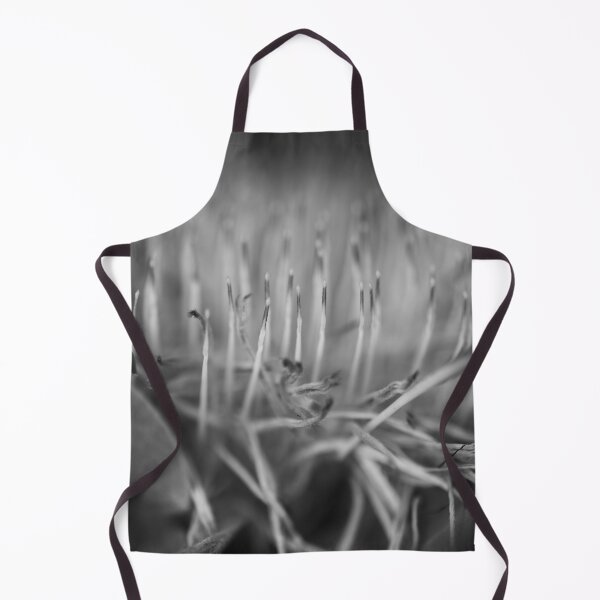 Item preview, Blue Sugarbush - Protea Nerifolia designed and sold by imaginethis.