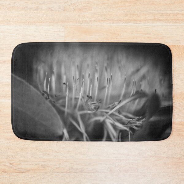 Item preview, Blue Sugarbush - Protea Nerifolia designed and sold by imaginethis.