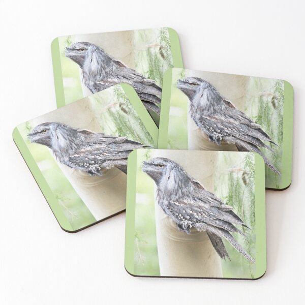 Item preview, Tawny Frogmouths designed and sold by imaginethis.