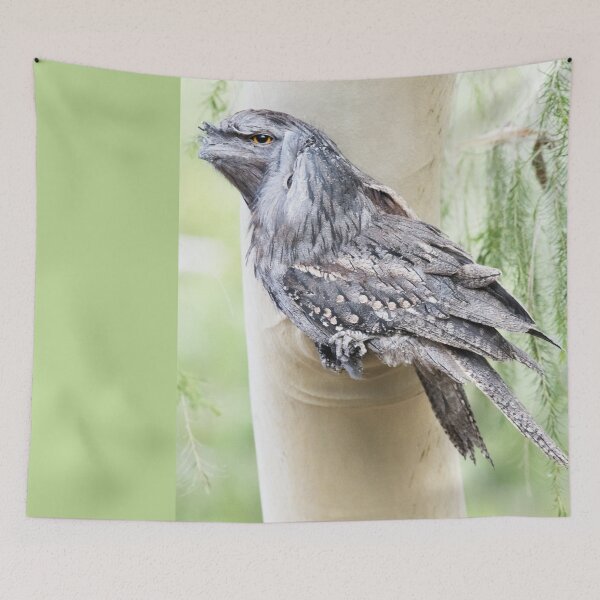 Item preview, Tawny Frogmouths designed and sold by imaginethis.