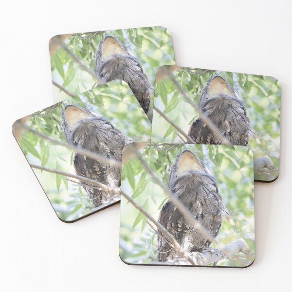 Item preview, Tawny Frogmouth - having a big yawn designed and sold by imaginethis.