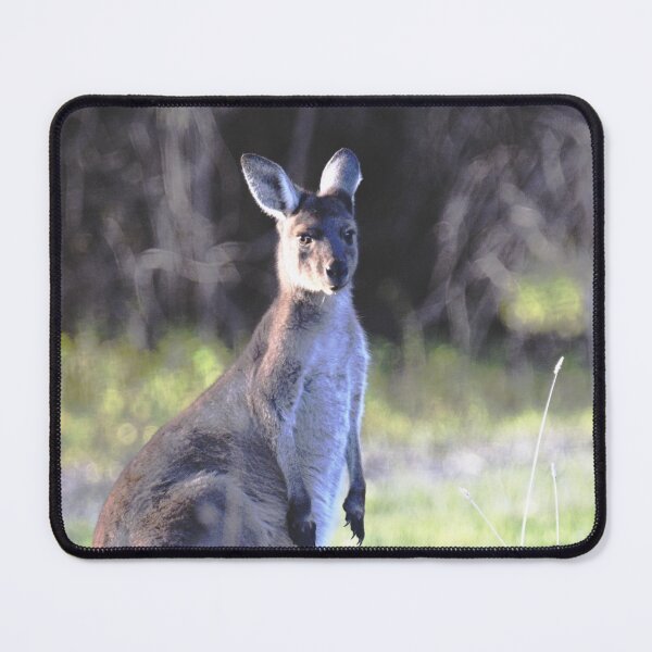 Item preview, A Curious Kangaroo designed and sold by imaginethis.