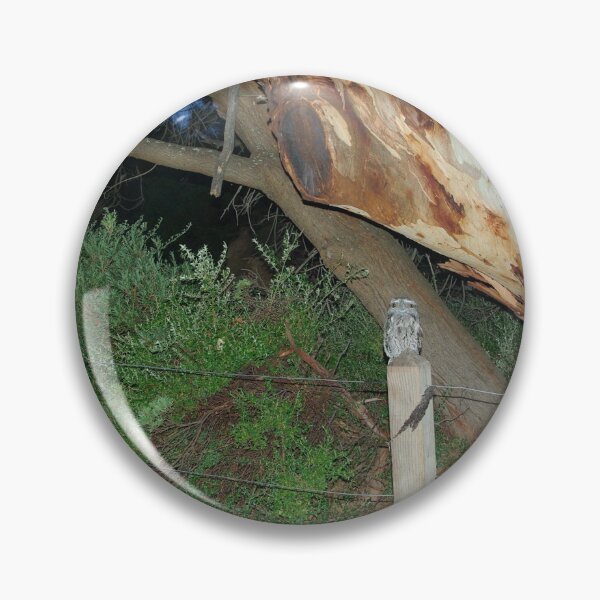 Item preview, Tawny Frogmouth - Coles Bay designed and sold by imaginethis.