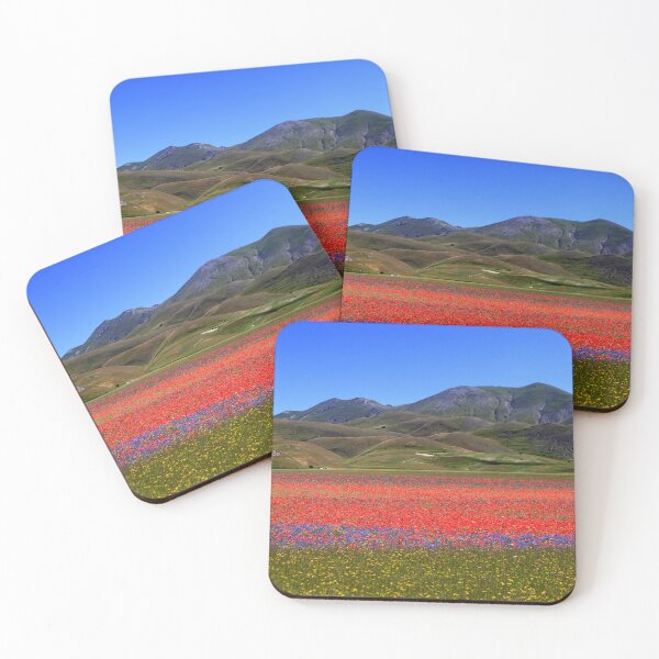 Item preview, Castelluccio flowering 2024 designed and sold by annalisa56.
