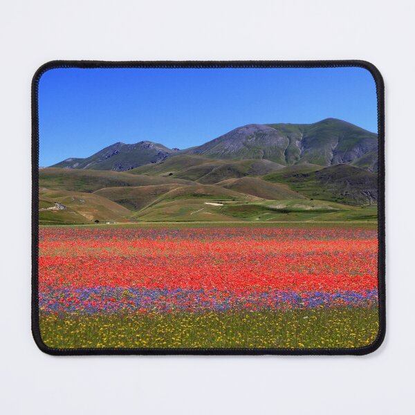 Item preview, Castelluccio flowering 2024 designed and sold by annalisa56.