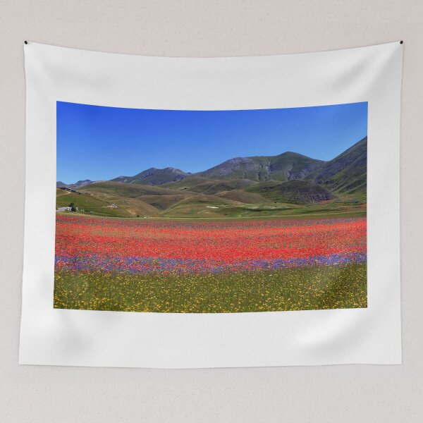 Item preview, Castelluccio flowering 2024 designed and sold by annalisa56.