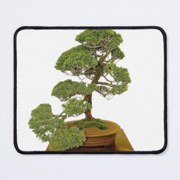 Item preview, Tree designed and sold by CGBRANDS.