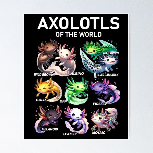 Item preview, Kawaii Axolotls of the World Axolotl Animals Lover designed and sold by Kimberley King Art  King Art.