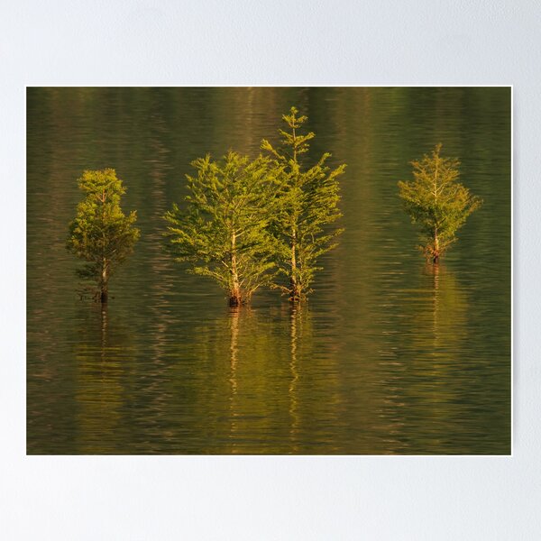 Item preview, Chill'n designed and sold by Richard G Witham.