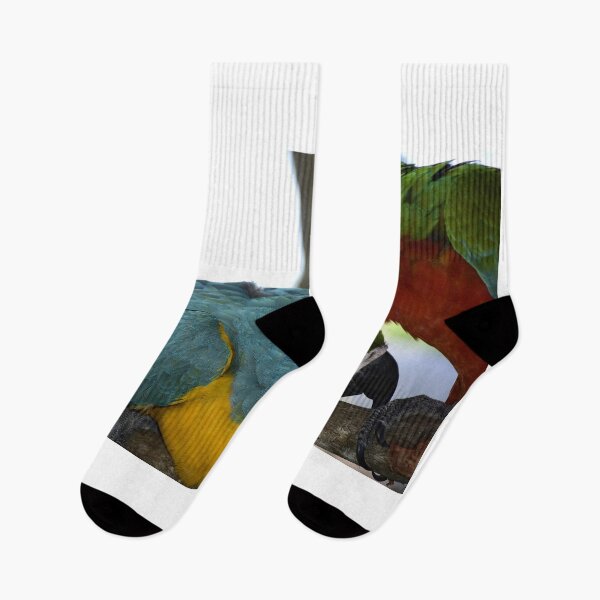 Item preview, Playful Parrots designed and sold by MercerImages.