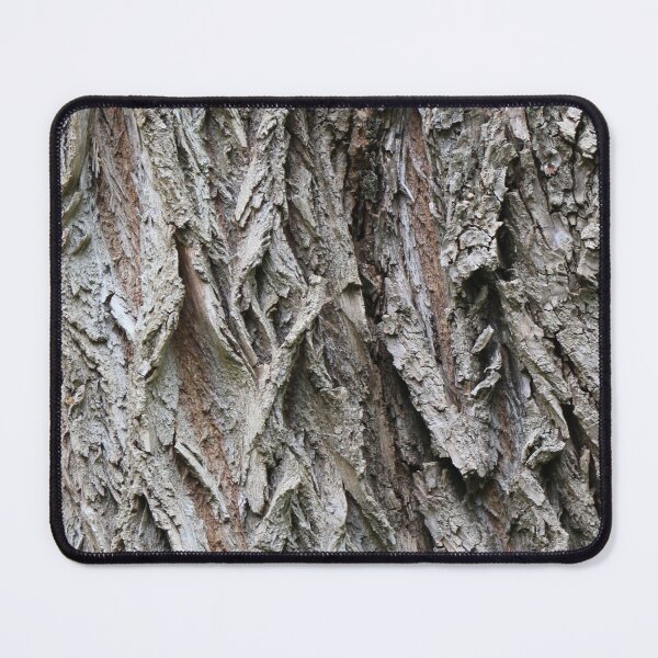 Item preview, Art by Mike Photography Photo Botany Tree Trunk Bark. designed and sold by allartbymike.