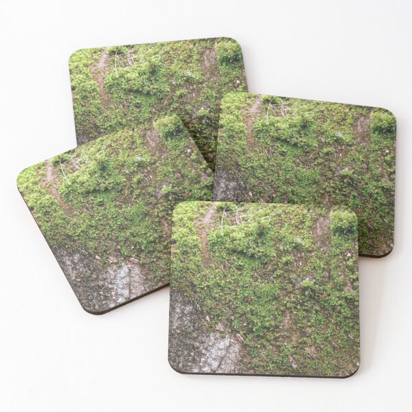 Item preview, Art by Mike Photography Photo Botany Tree trunk bark covered with moss. designed and sold by allartbymike.