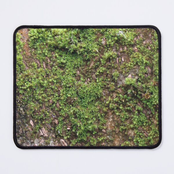 Item preview, Art by Mike Photography Photo Botany Tree trunk bark covered with moss. designed and sold by allartbymike.