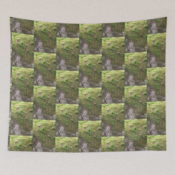 Item preview, Art by Mike Photography Photo Botany Tree trunk bark covered with moss. designed and sold by allartbymike.