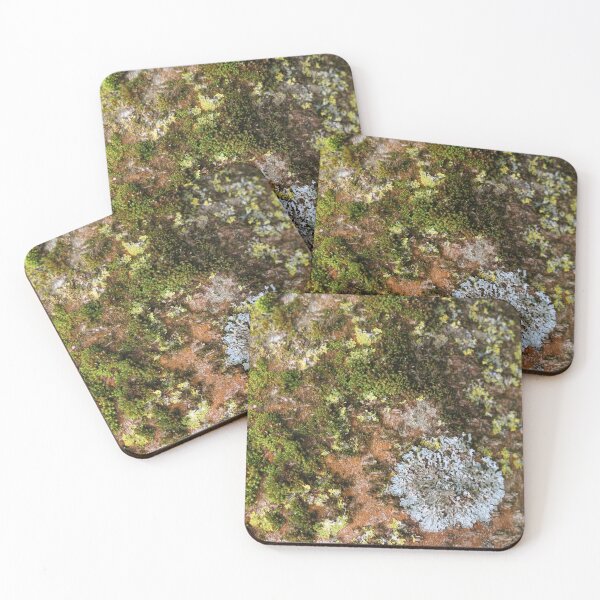 Item preview, Art by Mike Photography Photo Botany Tree trunk bark covered with moss and lichen. designed and sold by allartbymike.