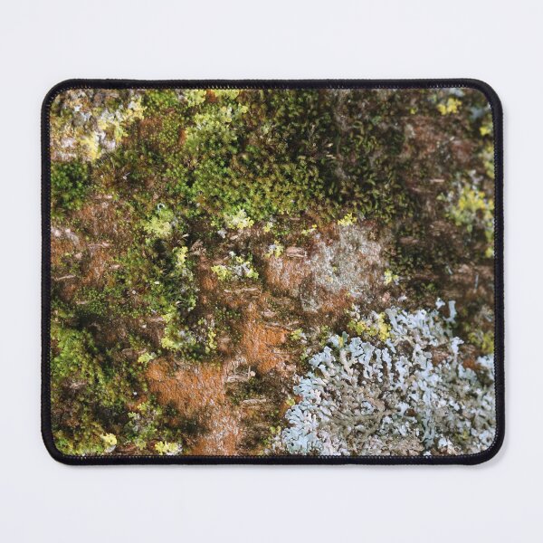 Item preview, Art by Mike Photography Photo Botany Tree trunk bark covered with moss and lichen. designed and sold by allartbymike.