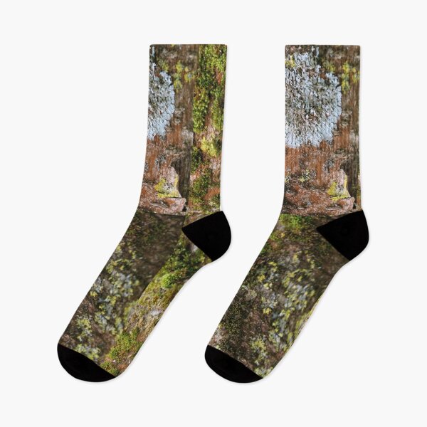 Item preview, Art by Mike Photography Photo Botany Tree trunk bark covered with moss and lichen. designed and sold by allartbymike.