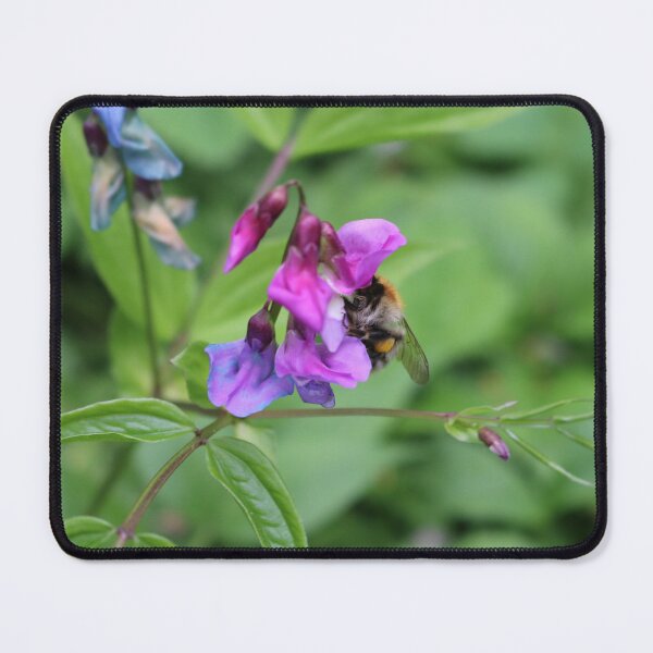 Item preview, Art by Mike Photography Photo Botany Flowers Bumblebee Honey designed and sold by allartbymike.