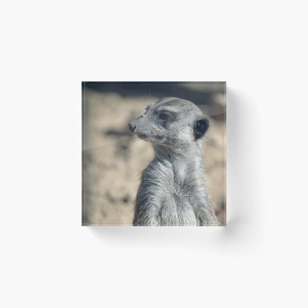 Item preview, Cute Meerkat designed and sold by Vac1.