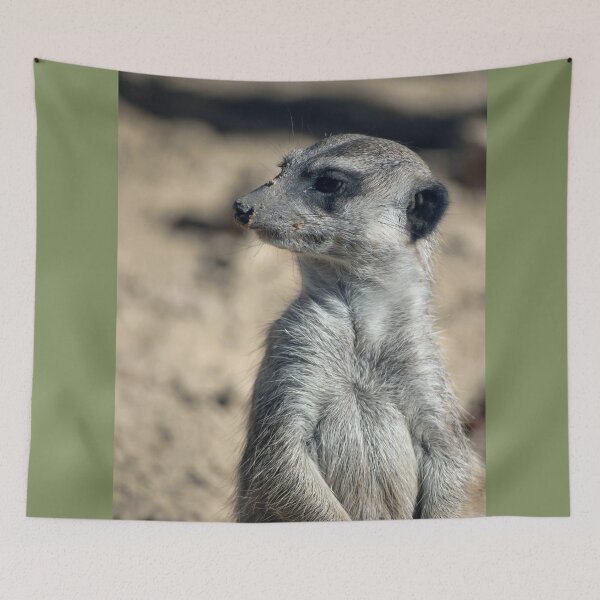 Item preview, Cute Meerkat designed and sold by Vac1.