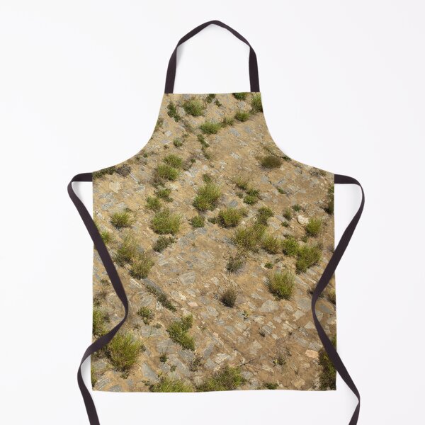 Item preview, Plants on the rock designed and sold by felipequeiroz.