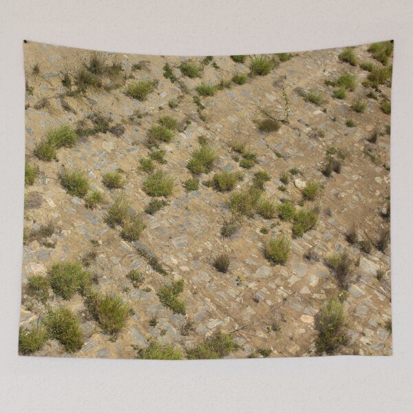 Item preview, Plants on the rock designed and sold by felipequeiroz.