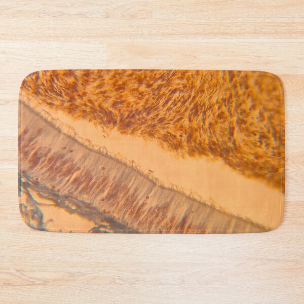 Item preview, Pseudostratified columnar epithelium - histology lab designed and sold by Paws-e-whiskers.