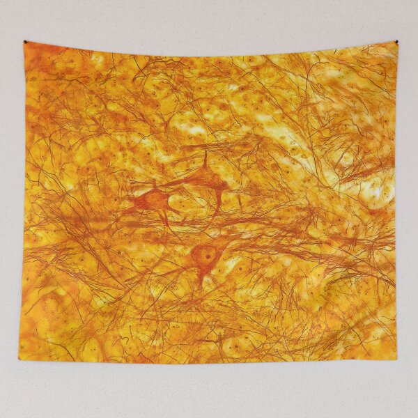 Item preview, Multipolar neuron - histology lab designed and sold by Paws-e-whiskers.