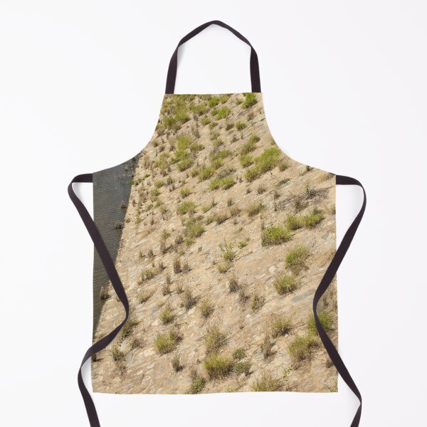 Item preview, Plants on the rock 3 designed and sold by felipequeiroz.